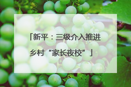 新平：三级介入推进乡村“家长夜校”