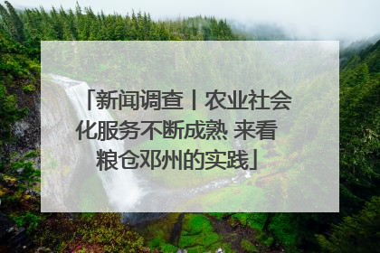 新闻调查丨农业社会化服务不断成熟 来看粮仓邓州的实践