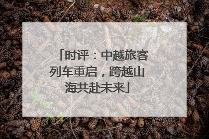 时评：中越旅客列车重启，跨越山海共赴未来