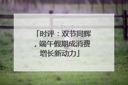 时评：双节同辉，端午假期成消费增长新动力