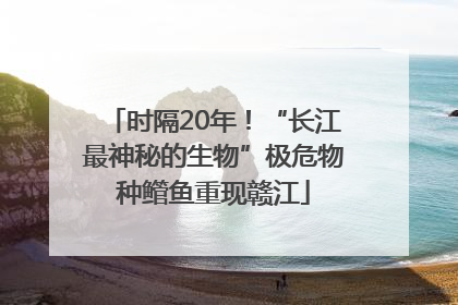 时隔20年！“长江最神秘的生物”极危物种鳤鱼重现赣江