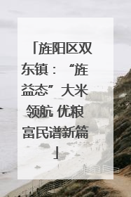 旌阳区双东镇：“旌益态”大米领航 优粮富民谱新篇