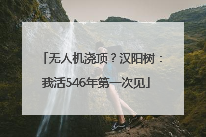 无人机浇顶？汉阳树：我活546年第一次见