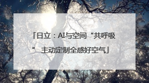 日立：AI与空间“共呼吸” 主动定制全感好空气