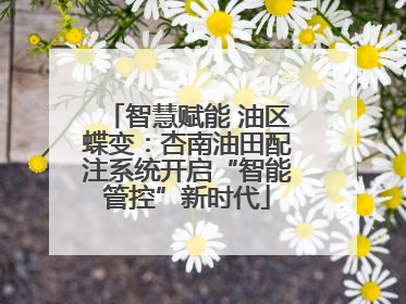 智慧赋能 油区蝶变：杏南油田配注系统开启“智能管控”新时代