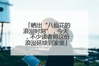 晒出“八仙花的浪漫时刻”，今天，不少读者将这份浪漫延续到家里