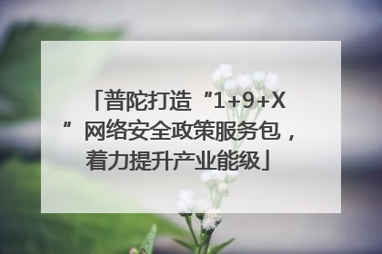 普陀打造“1+9+X”网络安全政策服务包，着力提升产业能级