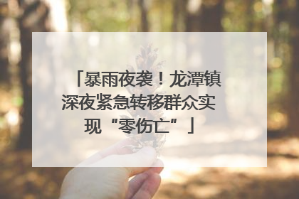 暴雨夜袭！龙潭镇深夜紧急转移群众实现“零伤亡”