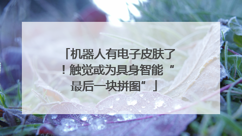 机器人有电子皮肤了！触觉或为具身智能“最后一块拼图”