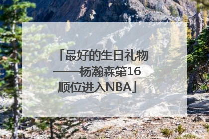 最好的生日礼物——杨瀚森第16顺位进入NBA