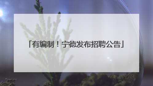 有编制！宁德发布招聘公告