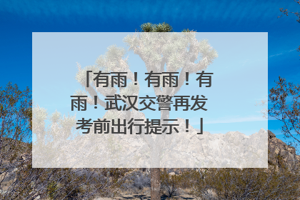 有雨！有雨！有雨！武汉交警再发考前出行提示！