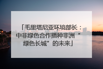 毛里塔尼亚环境部长：中非绿色合作播种非洲“绿色长城”的未来