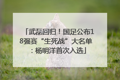 武磊回归！国足公布18强赛“生死战”大名单：杨明洋首次入选