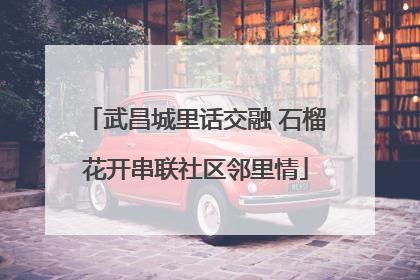武昌城里话交融 石榴花开串联社区邻里情
