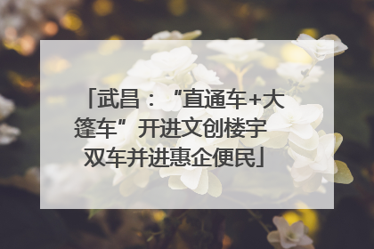 武昌：“直通车+大篷车”开进文创楼宇 双车并进惠企便民