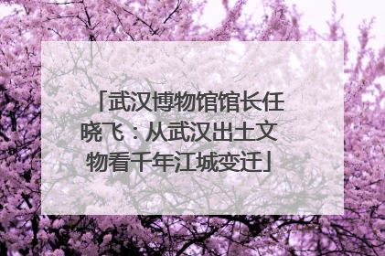武汉博物馆馆长任晓飞：从武汉出土文物看千年江城变迁