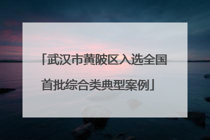 武汉市黄陂区入选全国首批综合类典型案例