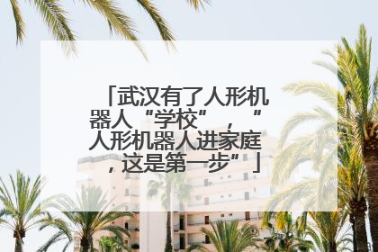 武汉有了人形机器人“学校”，“人形机器人进家庭，这是第一步”