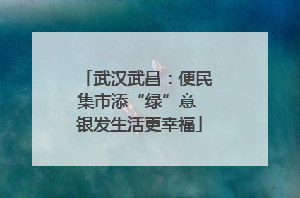 武汉武昌：便民集市添“绿”意 银发生活更幸福