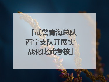 武警青海总队西宁支队开展实战化比武考核