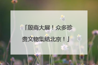殷商大展！众多珍贵文物集结北京！