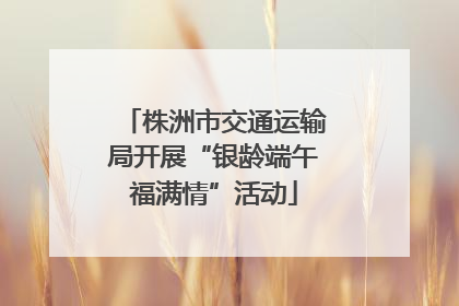 株洲市交通运输局开展“银龄端午福满情”活动