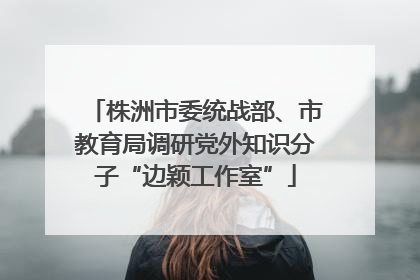 株洲市委统战部、市教育局调研党外知识分子“边颖工作室”