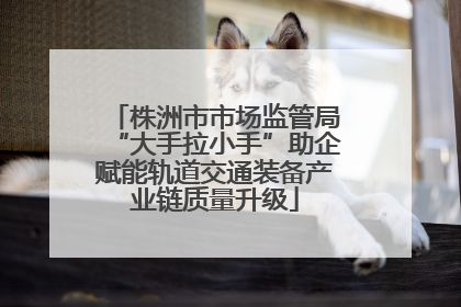株洲市市场监管局“大手拉小手”助企赋能轨道交通装备产业链质量升级