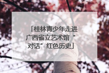 桂林青少年走进广西省立艺术馆“对话”红色历史