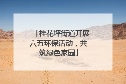 桂花坪街道开展六五环保活动，共筑绿色家园