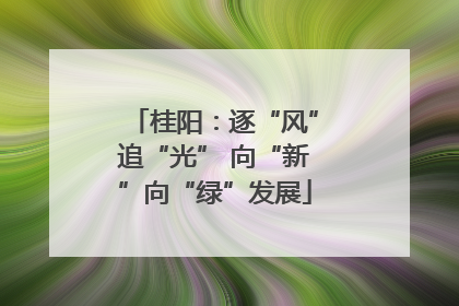 桂阳：逐“风”追“光” 向“新”向“绿”发展
