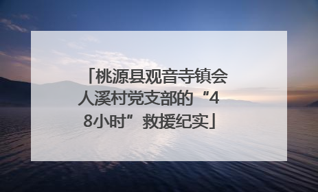 桃源县观音寺镇会人溪村党支部的“48小时”救援纪实