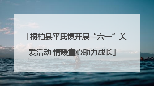 桐柏县平氏镇开展“六一”关爱活动 情暖童心助力成长
