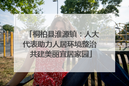 桐柏县淮源镇：人大代表助力人居环境整治 共建美丽宜居家园