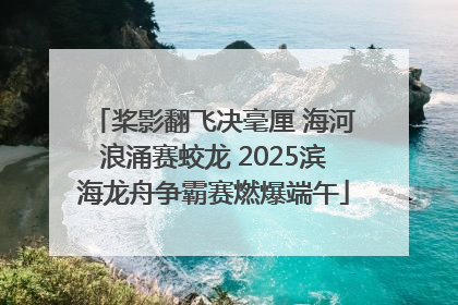 桨影翻飞决毫厘 海河浪涌赛蛟龙 2025滨海龙舟争霸赛燃爆端午