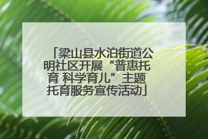 梁山县水泊街道公明社区开展“普惠托育 科学育儿”主题托育服务宣传活动