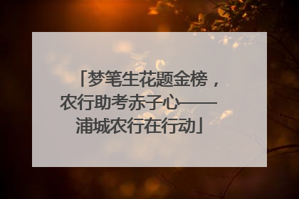 梦笔生花题金榜，农行助考赤子心——浦城农行在行动