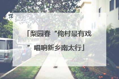 梨园春“俺村最有戏”唱响新乡南太行