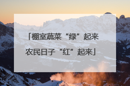 棚室蔬菜“绿”起来 农民日子“红”起来
