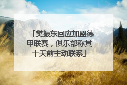樊振东回应加盟德甲联赛，俱乐部称其十天前主动联系