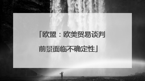 欧盟：欧美贸易谈判前景面临不确定性