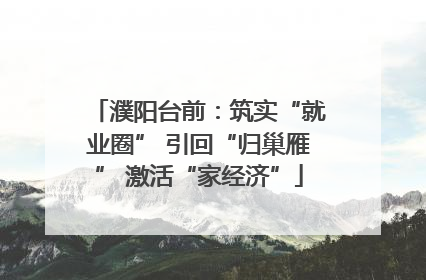 濮阳台前：筑实“就业圈” 引回“归巢雁” 激活“家经济”