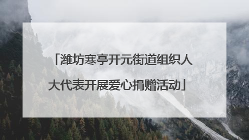 潍坊寒亭开元街道组织人大代表开展爱心捐赠活动