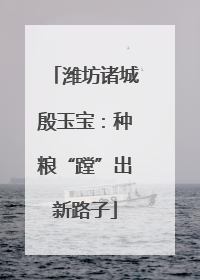 潍坊诸城殷玉宝：种粮“蹚”出新路子
