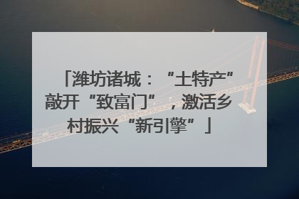 潍坊诸城：“土特产”敲开“致富门”，激活乡村振兴“新引擎”