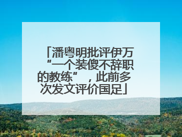潘粤明批评伊万“一个装傻不辞职的教练”，此前多次发文评价国足