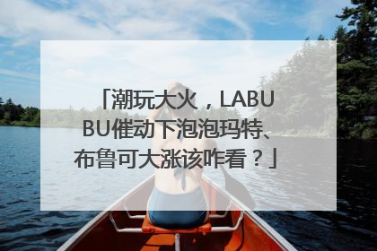 潮玩大火，LABUBU催动下泡泡玛特、布鲁可大涨该咋看？