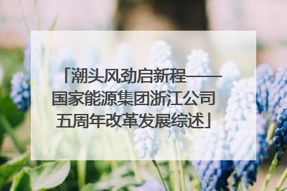 潮头风劲启新程——国家能源集团浙江公司五周年改革发展综述