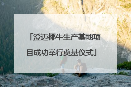 澄迈椰牛生产基地项目成功举行奠基仪式